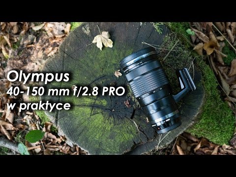 Olympus 40-150 mm f/2.8 PRO - testuję profesjonalny teleobiektyw micro 4/3